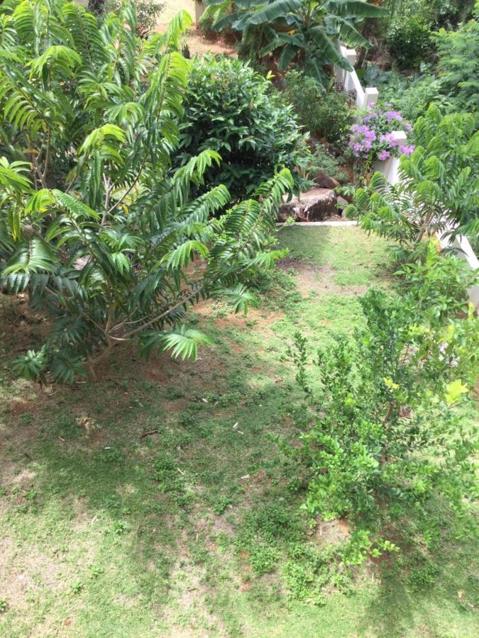 Bougainvillas Seychelles Anse Royale Luaran gambar