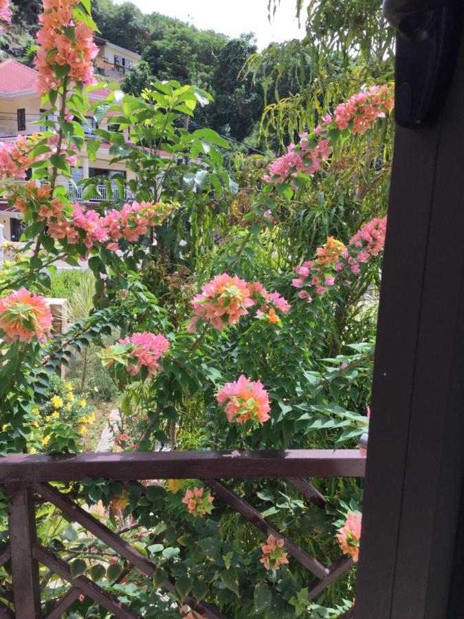 Bougainvillas Seychelles Anse Royale Luaran gambar