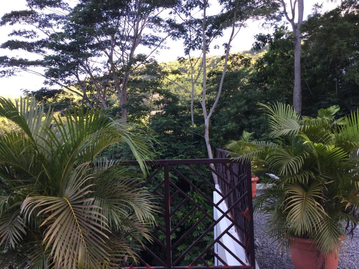 Bougainvillas Seychelles Anse Royale Luaran gambar