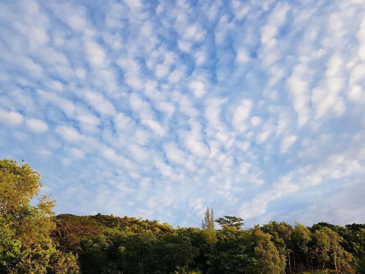 Bougainvillas Seychelles Anse Royale Luaran gambar