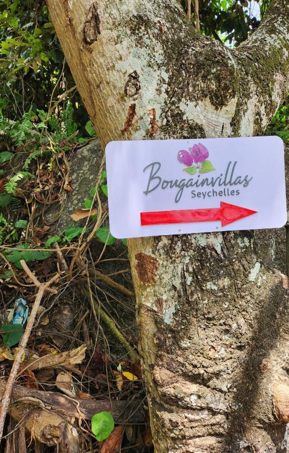 Bougainvillas Seychelles Anse Royale Luaran gambar